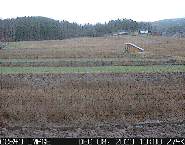 Webkamera fra ruteforsøket på Kjelle